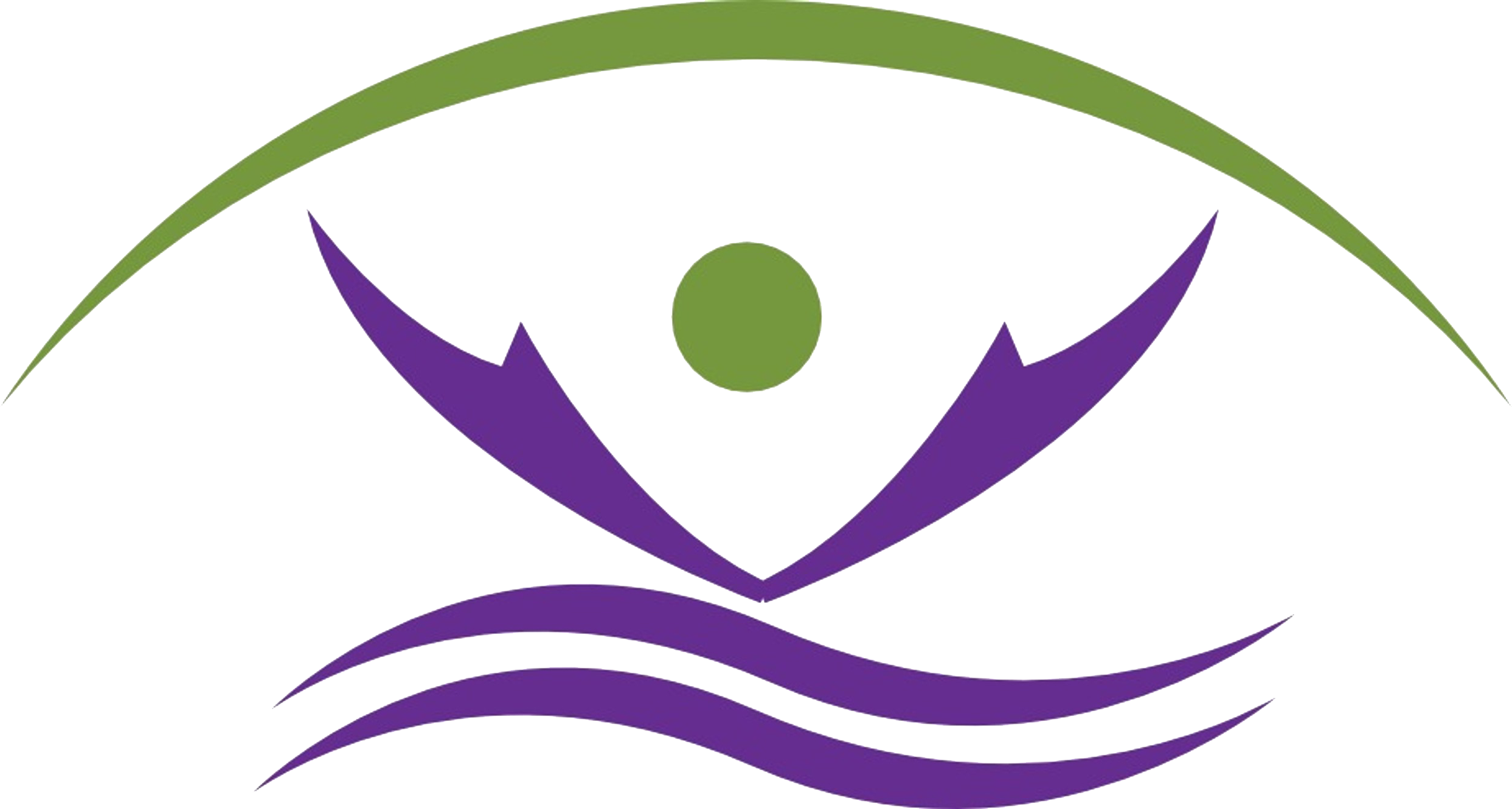 İPSUM VALİDASYON  LTD. ŞTİ.