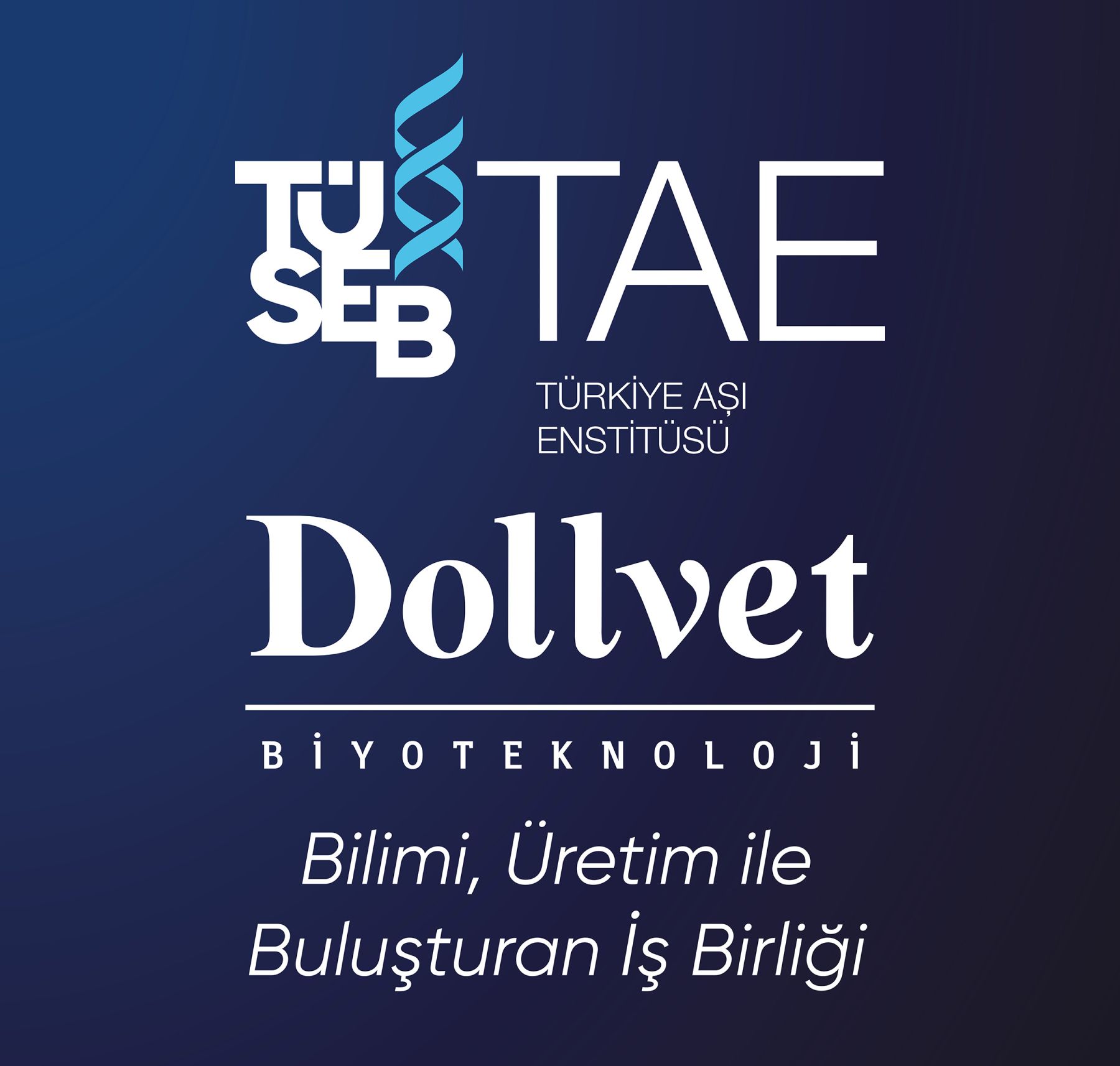 TÜRKİYE AŞI ENSTİTÜSÜ – DOLLVET BİYOTEKNOLOJİ A.Ş. İŞ BİRLİĞİ