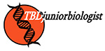 TBD_logo150